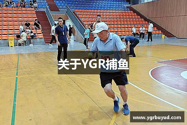 关于YGR捕鱼